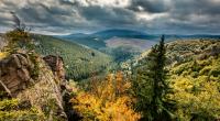 Im Harz soll sich ein mysteriöser 
