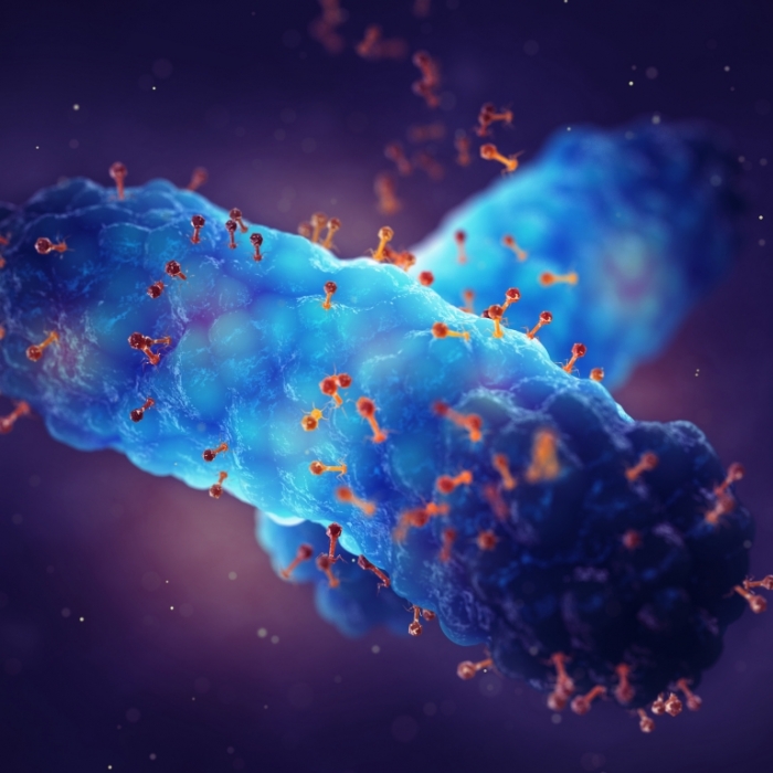 Neue Therapien! Können diese Virenkiller Antibiotika ersetzen?