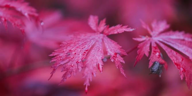 Kaltes Herbstwetter voraus