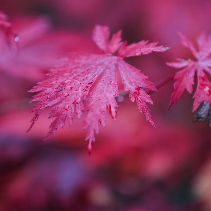 Wo in Deutschland Frost droht