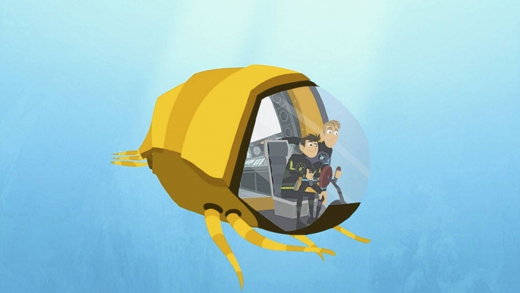 Go Wild Mission Wildnis Stream