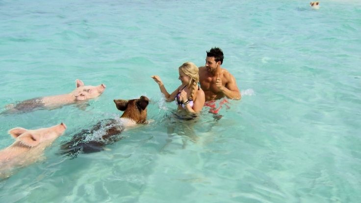 Sauereien mit Leonard und Leonie auf den Bahamas.