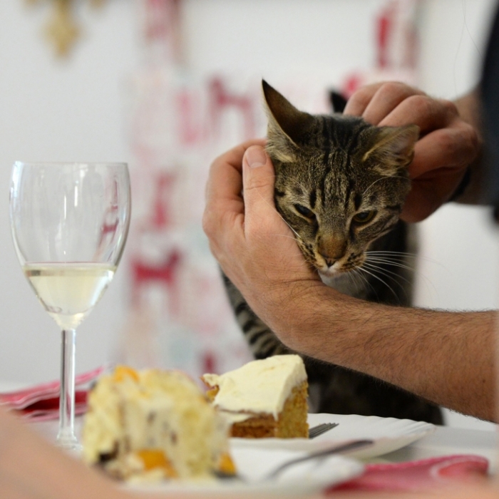 Kaffee und Kuscheln statt Kaffee und Kuchen
