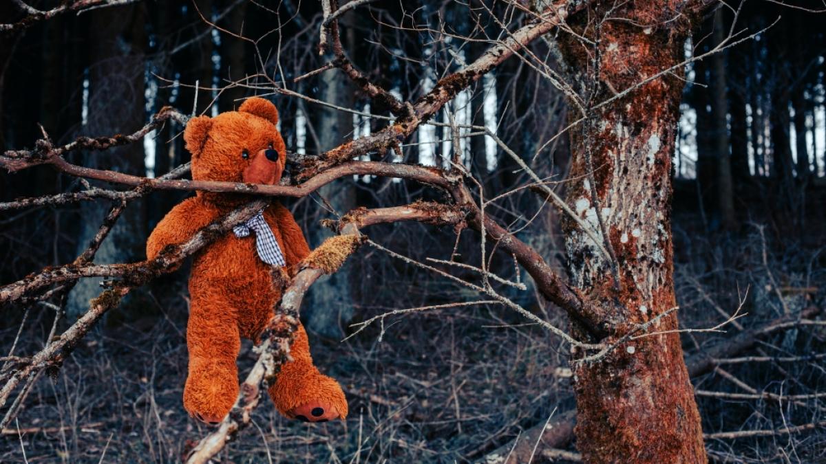 In Russland hat ein Mann die Leiche seines Stiefsohns in einem Wald am Flussufer begraben. (Symbolfoto) (Foto)