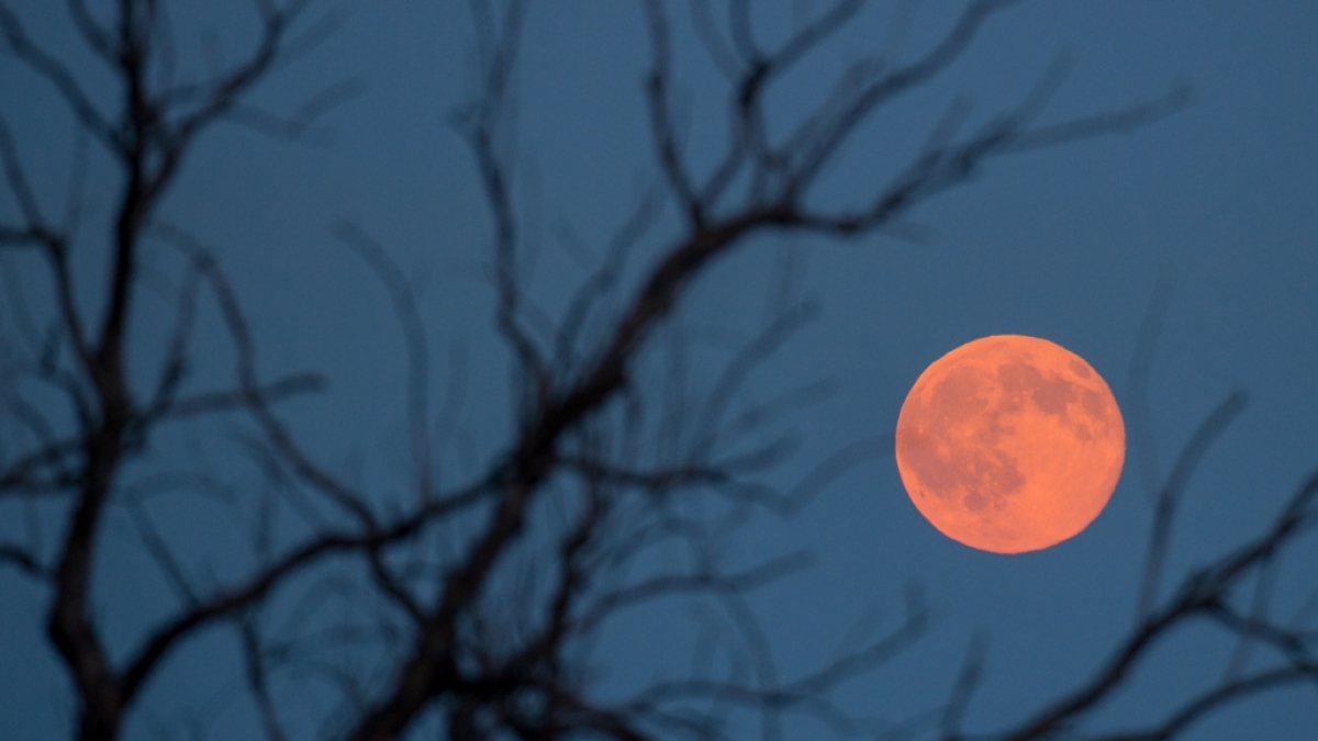 Der Vollmond im Juni ist nicht nur rot, er hei&szlig;t auch noch Erdbeermond. (Foto)