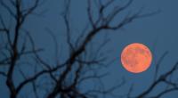 Der Vollmond im Juni ist nicht nur rot, er heißt auch noch Erdbeermond.