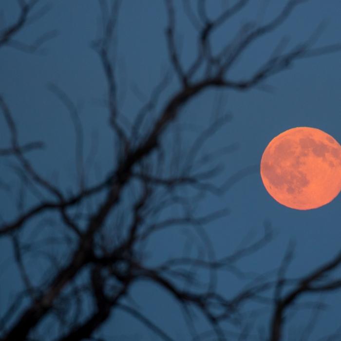 Gesehen? Roter Erdbeermond am Himmel