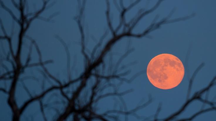 Der Vollmond im Juni ist nicht nur rot, er heißt auch noch Erdbeermond.