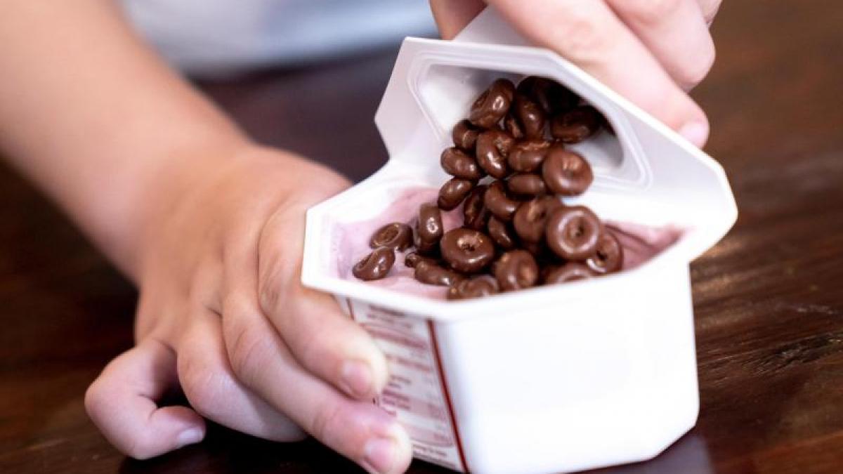 Eltern sollten Puddings und Joghurts mit Toppings eher nicht anbieten. Sie enthalten laut Stiftung Warentest oft zu viel Zucker, Fett und Kalorien. (Foto)