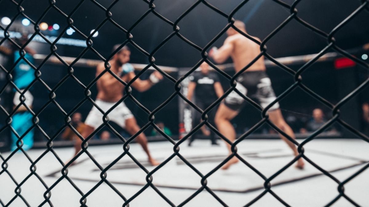 Wer verl&auml;sst das Octagon bei UFC 299 als Sieger? (Foto)