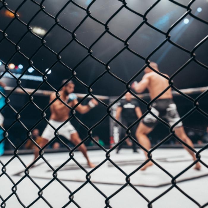 Alle Ergebnisse hier: UFC-Weltmeister O'Malley besiegt Marlon Vera nach Punkten
