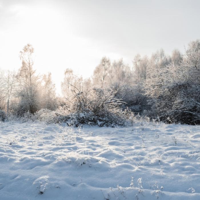 Bis zu einem Meter Neuschnee! Orkan bringt den Winter zurück