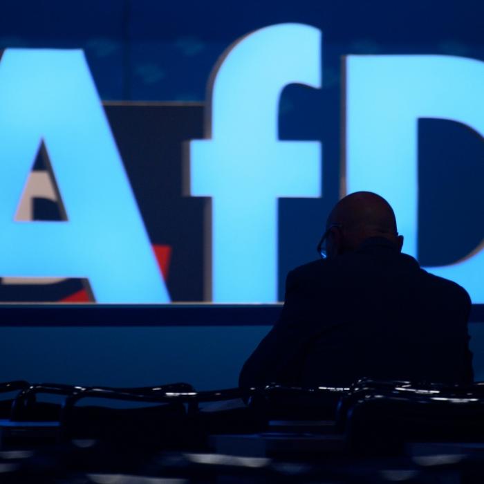 Schockierendes AfD-Hoch! Ostdeutschland droht Horror-Wahl-Jahr