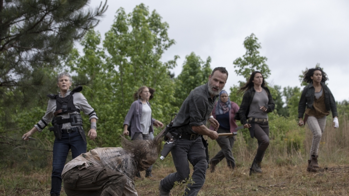 Bei&szlig;er-Alarm bei "The Walking Dead" (Foto)