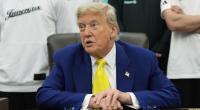 Donald Trump redet gern und viel - und stellt dabei immer wieder eklatante Wissenslücken zur Schau.
