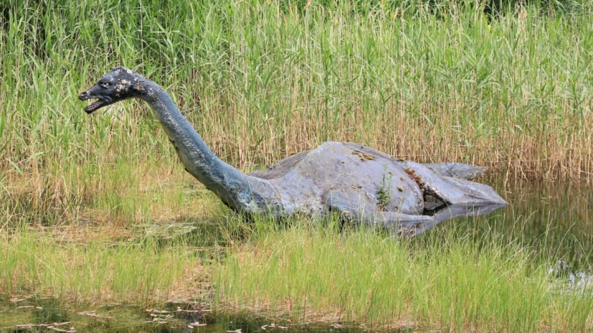 Eine Nessie-Nachbildung ist im Loch Ness Centre in Drumnadrochit zu sehen. (Foto)