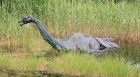 Eine Nessie-Nachbildung ist im Loch Ness Centre in Drumnadrochit zu sehen.