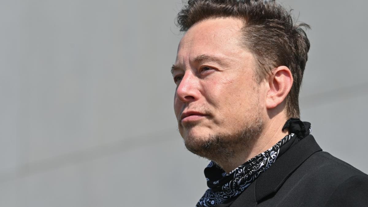 Elon Musks Zustimmungswerte sind komplett abgest&uuml;rzt. (Foto)
