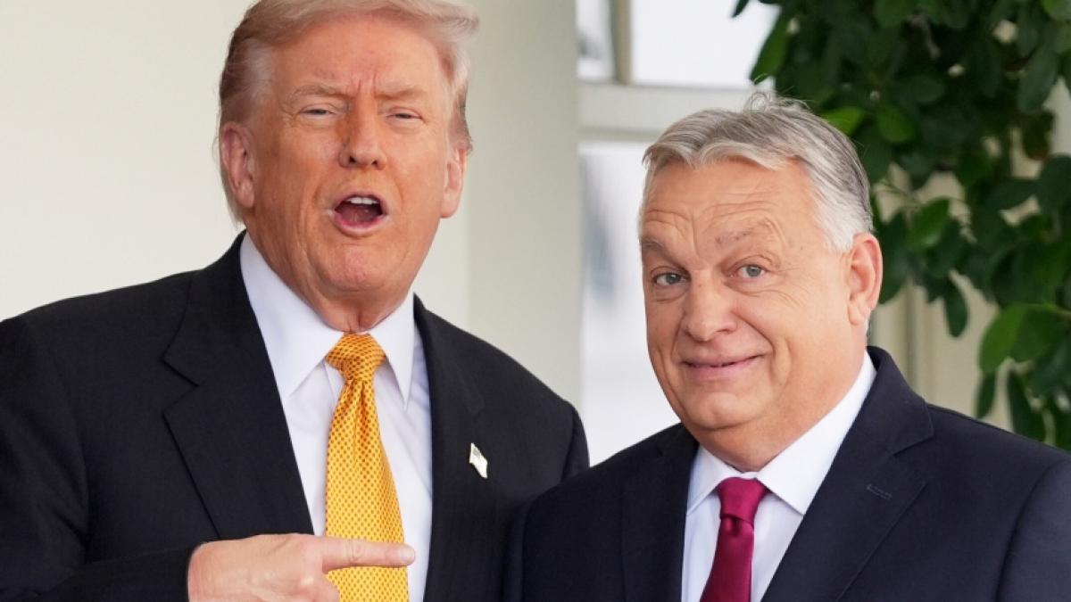 Pl&ouml;tzlich r&uuml;ckt Donald Trump (links) von Viktor Orb&aacute;n ab. (Foto)