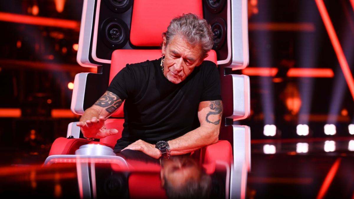 Peter Maffay traf in der f&uuml;nften "The Voice"-Blindaudition auf eine alte Bekannte. (Foto)