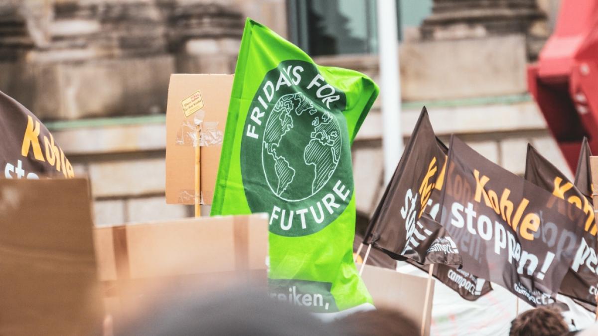 "Fridays for Future"-Sprecherin Elisa Bas schockt mit einem Juden-Kommentar auf Instagram. (Foto)