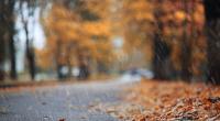 Ist die extreme Trockenheit im September vorbei?