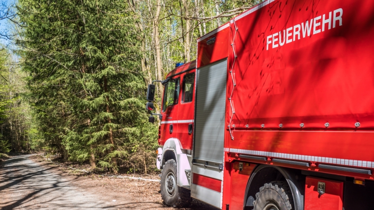 Die Waldbrandgefahr ist aktuell in vielen Teilen Deutschlands erh&ouml;ht. (Foto)