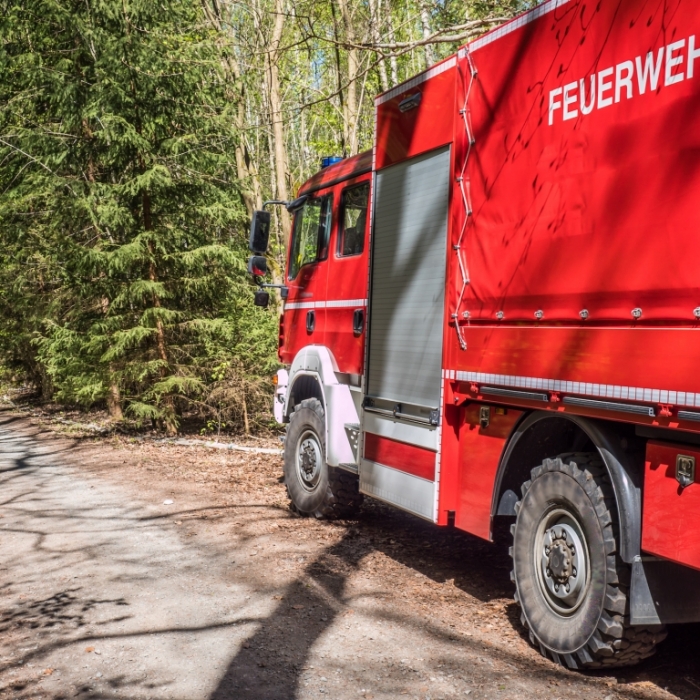Erhöhtes Waldbrand-Risiko! HIER müssen Sie aktuell aufpassen