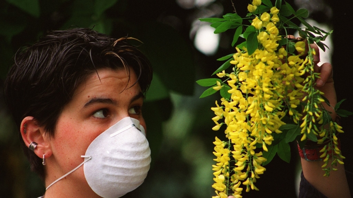 Eine junge Frau sch&uuml;tzt sich durch eine Feinstaubmaske vor den Pollen des Goldregens, am 01.01.2000. (Symbolbild) (Foto)