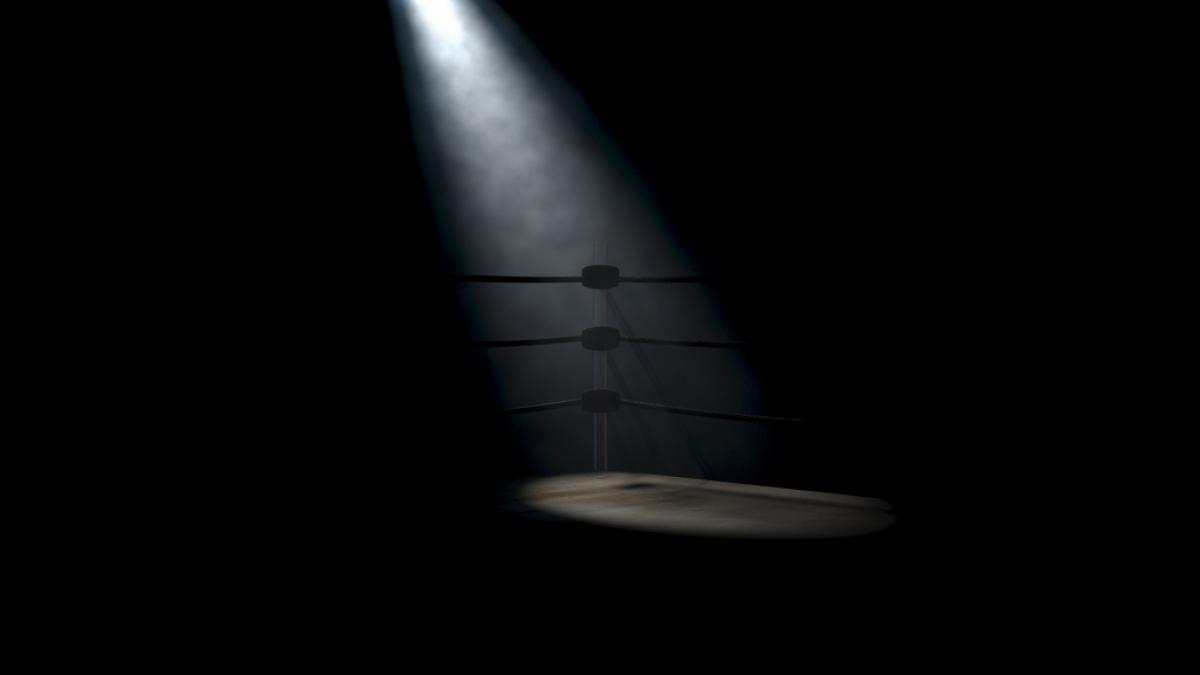 Der Wrestlingstar&nbsp;Yutaka Yoshie ist tot. (Foto)
