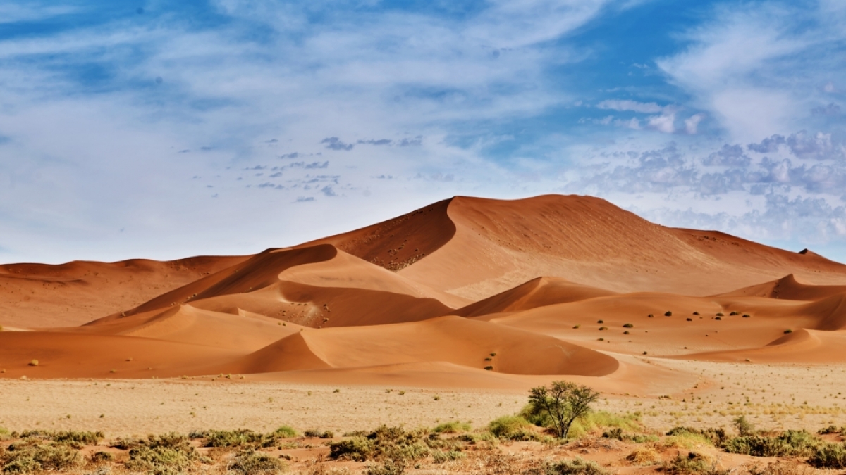 Haben wir in Deutschland auch bald eine Sahara-W&uuml;ste? (Foto)