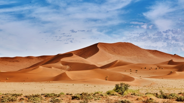 Forscher Zu Klimawandel Klima Schock Sahara Wuste In Deutschland Moglich News De