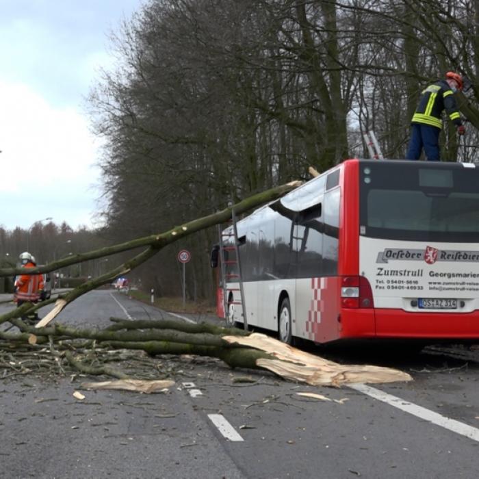 So heftig wütete Sturmtief 