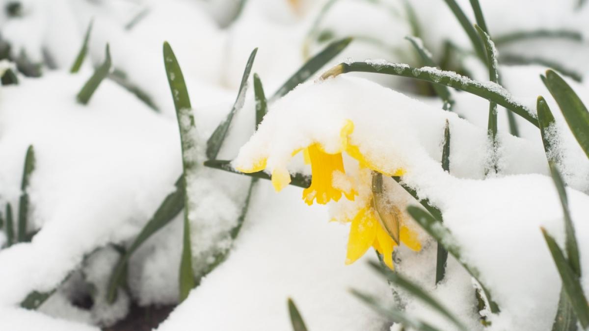 Wie wird das Wetter im April? (Foto)