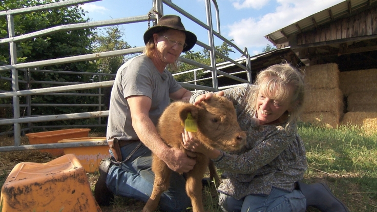Rinderzüchter Lutz (52) aus Sachsen hat sein jüngstes Kalb Steffi getauft.