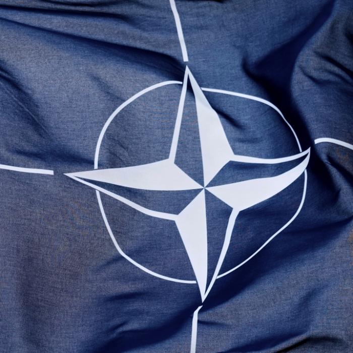 Putin testet die Nato - wann greifen Artikel 4 und 5?