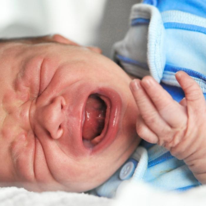3 Wochen altes Baby von Hund zerfleischt - Lebensgefahr!