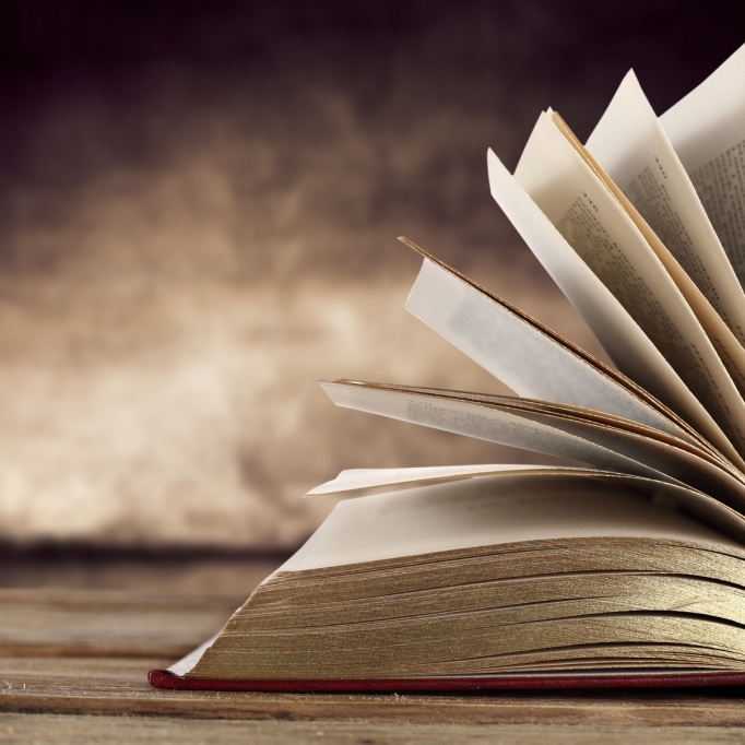 Ist dieses Buch der Beweis für Alien-Besuche auf der Erde?