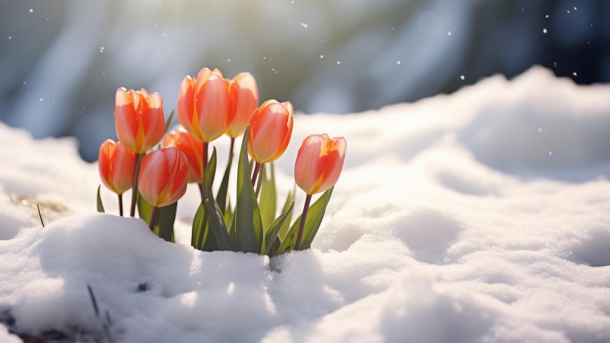 Kehr der Winter in der n&auml;chsten Woche nach Deutschland zur&uuml;ck? (Foto)