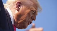 Donald Trump gerät im Epstein-Skandal zunehmend unter Druck – auch innerhalb der Republikaner.