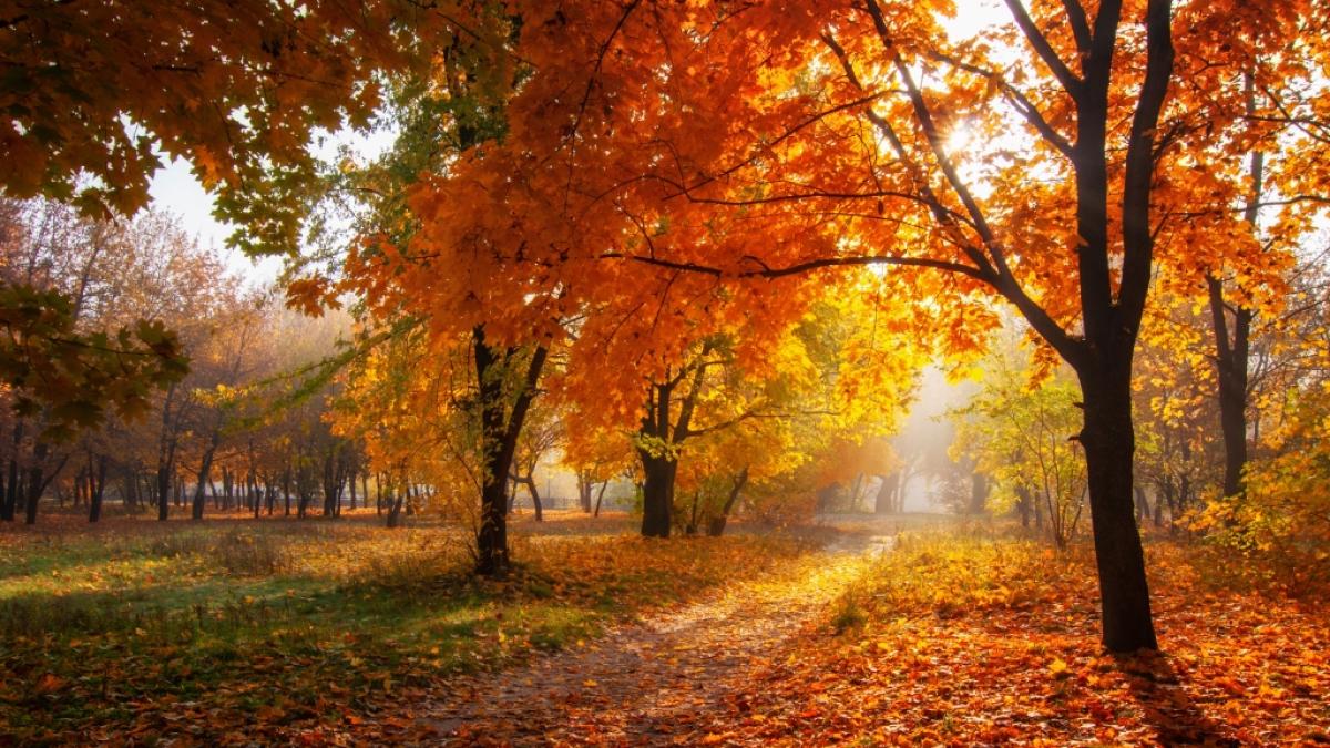 D&uuml;rfen wir uns auf einen warmen Altweibersommer freuen? (Foto)