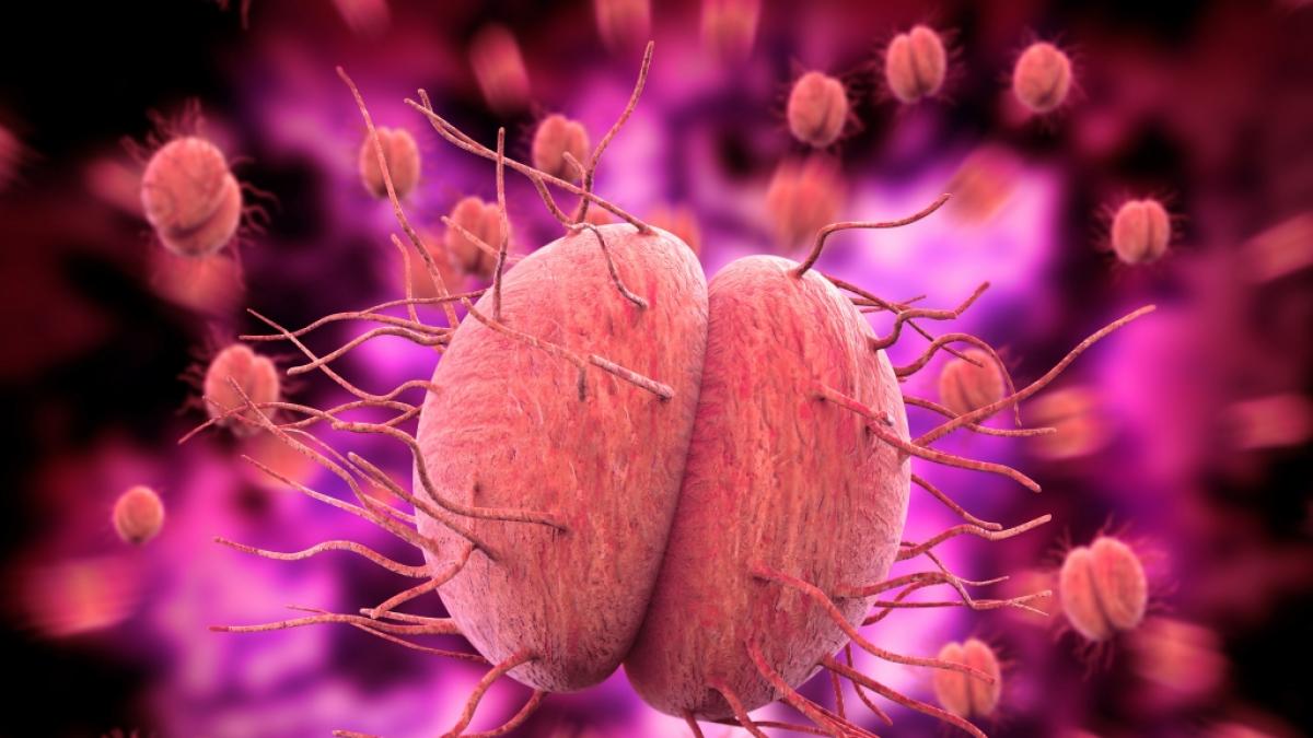 In Gro&szlig;britannien nehmen die F&auml;lle von antibiotikaresistenter Gonorrhoe zu.&nbsp; (Foto)