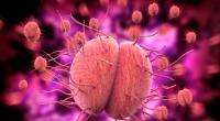 In Großbritannien nehmen die Fälle von antibiotikaresistenter Gonorrhoe zu. 