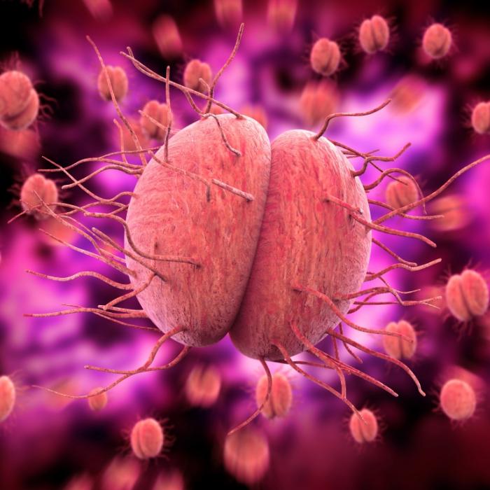 Drohende Super-Gonorrhoe? Gesundheitsbehörde warnt vor Geschlechtskrankheit