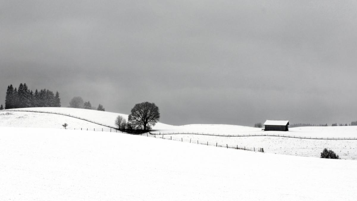 Die H&uuml;gel des Allg&auml;uer Voralpenlandes sind mit Neuschnee &uuml;berzogen. (Foto)