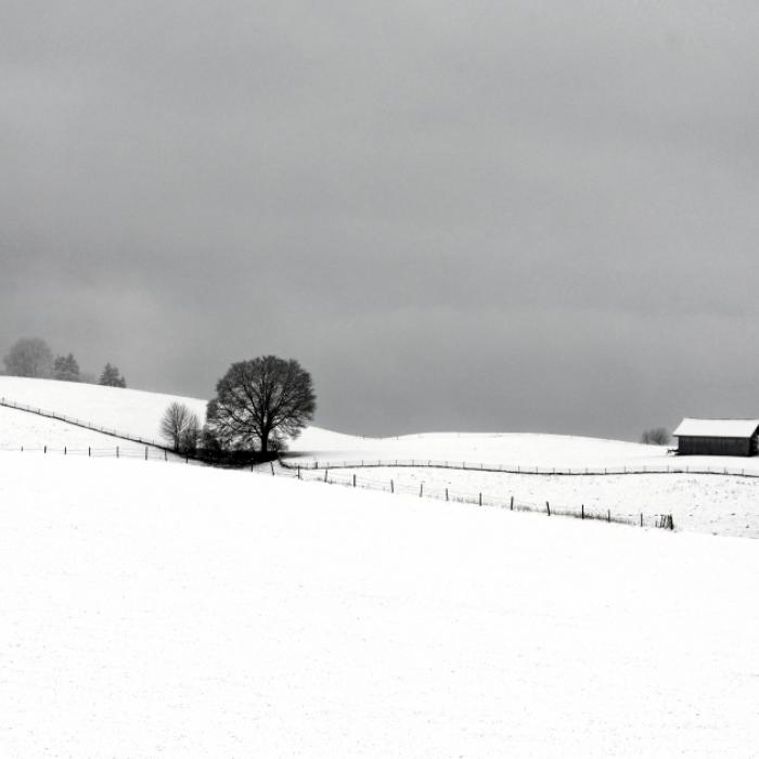 Sibirische Kältepeitsche flutet Deutschland! Meteorologen warnen vor Dauerfrost