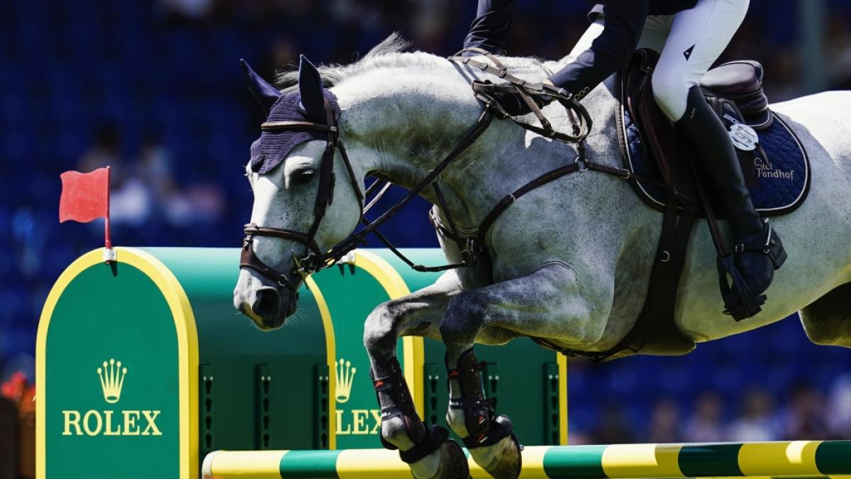Bis zum 3. Juli 2022 schl&auml;gt das Herz der Reitsportwelt in Aachen, wenn der CHIO 2022 ausgetragen wird. (Foto)