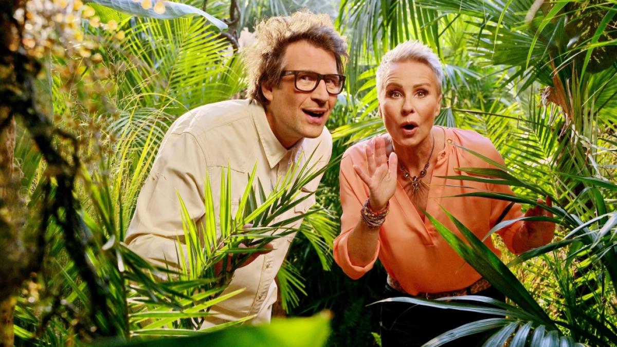 Sollten Unwetter das Dschungelcamp heimsuchen, hat RTL bereits einen Notfallplan. (Foto)