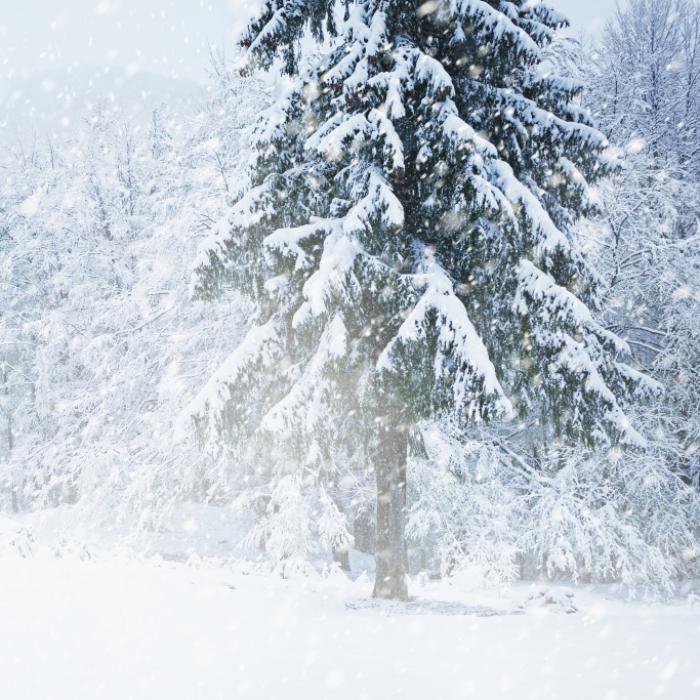 Orkan-Alarm im Alpenraum! Bringt Alpen-Schneesturm den Winter?