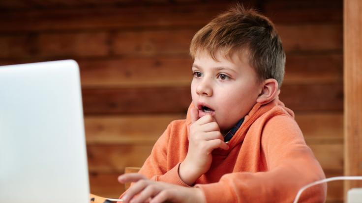 Ein Lehrer hat seinen Schülern beim Online-Unterricht ein Penis-Foto gezeigt.